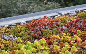 the cost of Moblake green roof installation